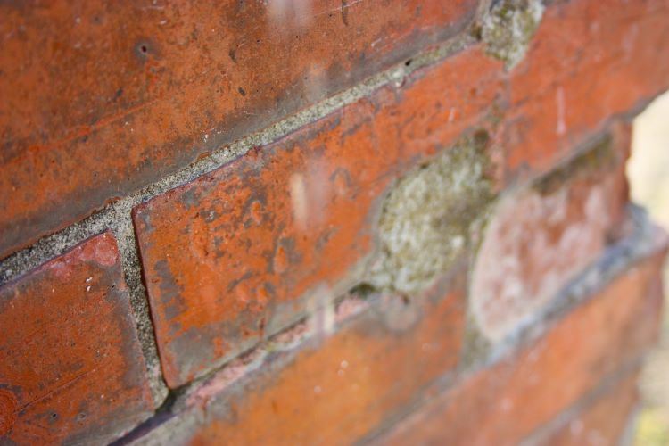 Restoration Brick Efflorescence
